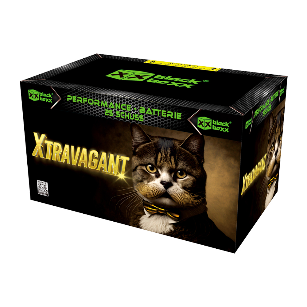 Xtravagant Feuerwerk Potsdam